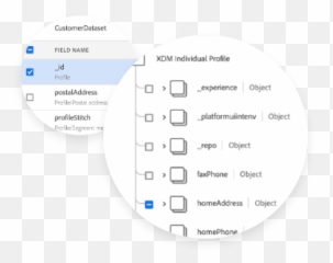 Adobe Real - Time Customer Data Platform features Dot png