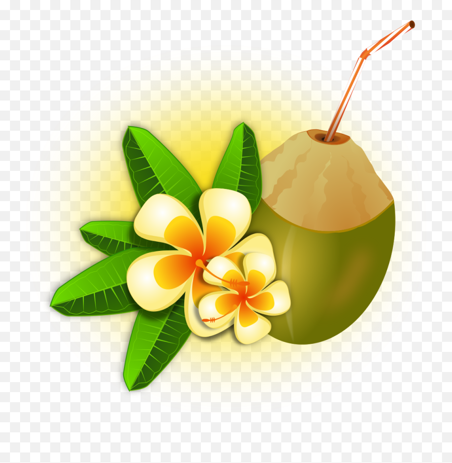 Christmas Ornament Png Transparent Images All - Hawaiian Coconut Png,Christmas Ornaments Png