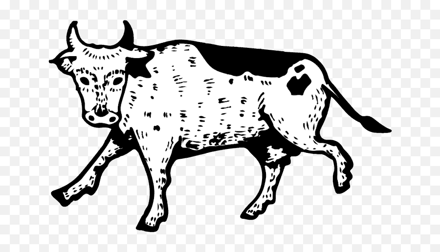 Flying Cow Tallow Midland Tx Home - Cartoon Png,Cow Logo