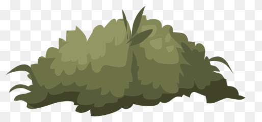 Plant Shrub - Bush Illustration png