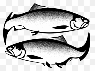 Seaboltu0027s Smokehouse Png Salmon Icon