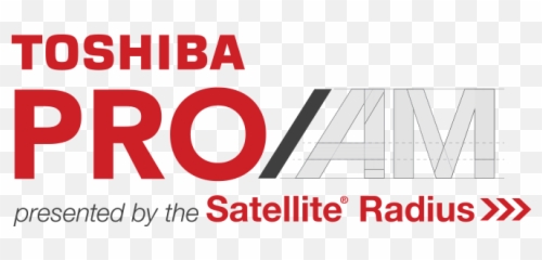 Rehau0027s Portfolio U203a Logos And Lockups - Toshiba Png,Am Logo