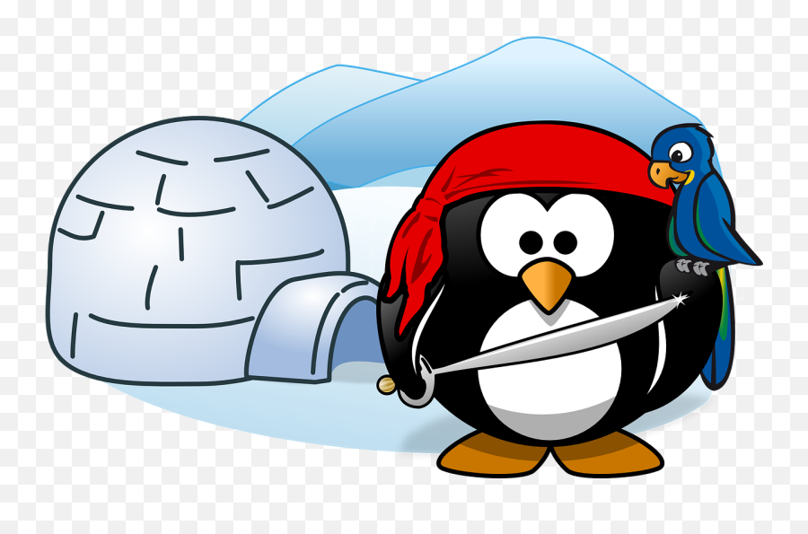 Pirate Tux Animal - Free Vector Graphic On Pixabay Penguin Pirate Png,Pirate Parrot Png