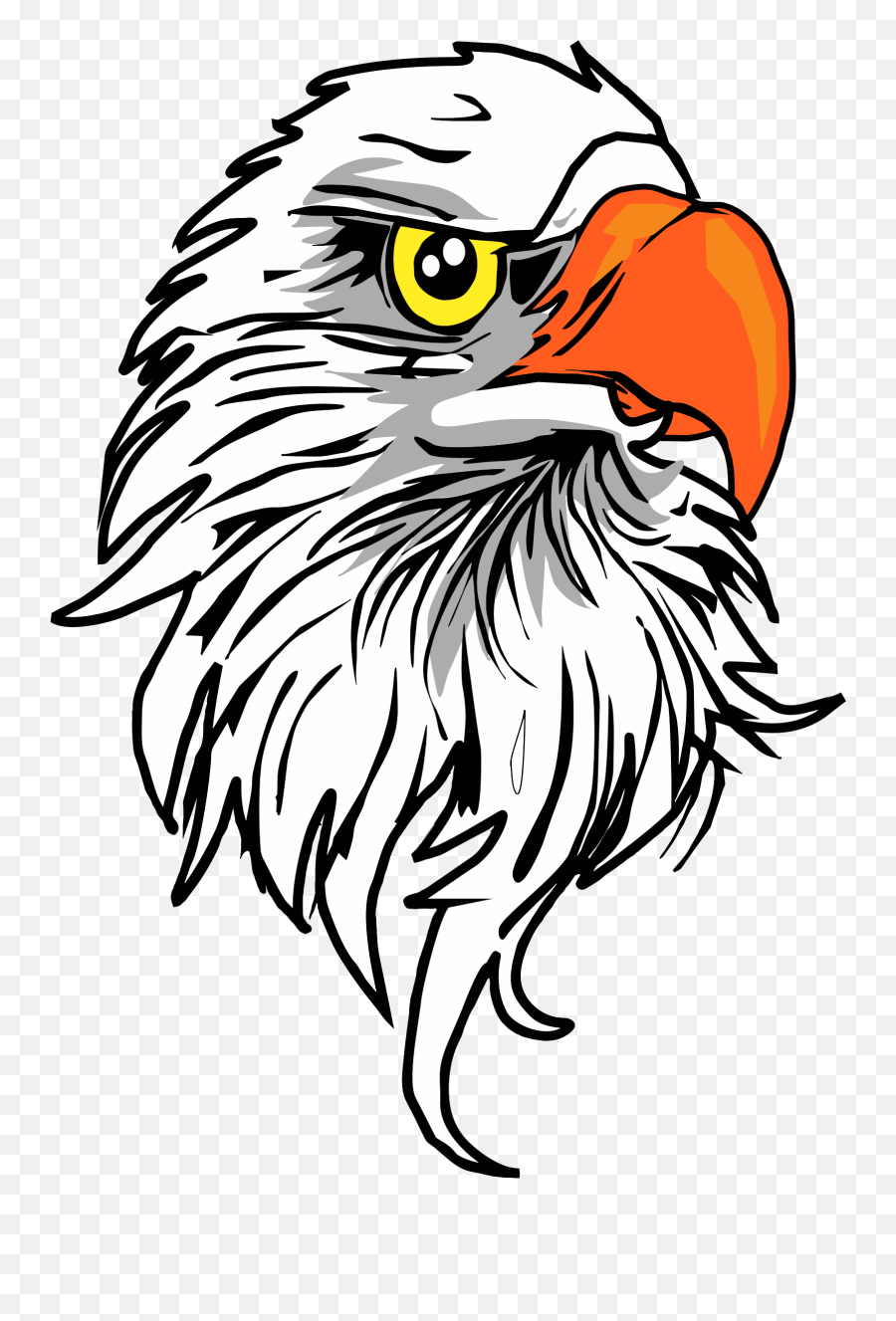 Eagle Head Png Pic - Eagles Head Clipart Transparent,Bald Head Png