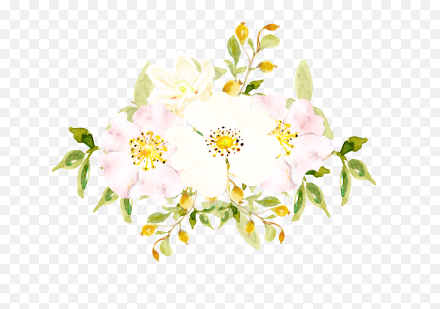 Download Hand Painted White Flowers Png - Burnet Rose,White Flowers Png