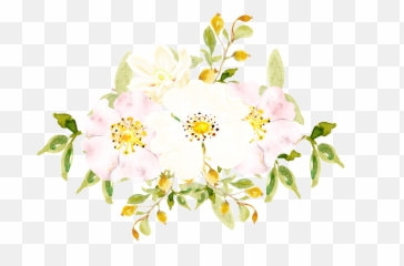 Download Hand Painted White Flowers Png - Burnet Rose