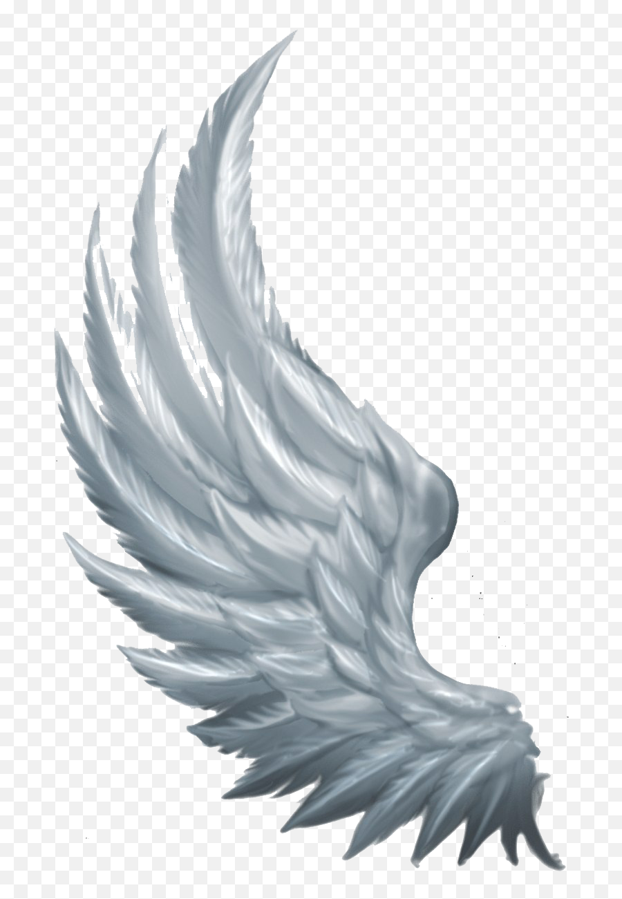 Wings Angel - Angel Wings Side View Png,Wing Png