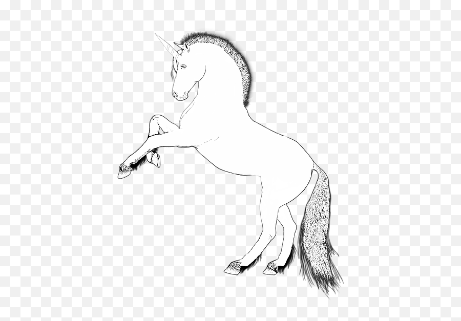 Unicorn Design Horse - Free Image On Pixabay Transparent White Unicorn Png,Unicorn Png