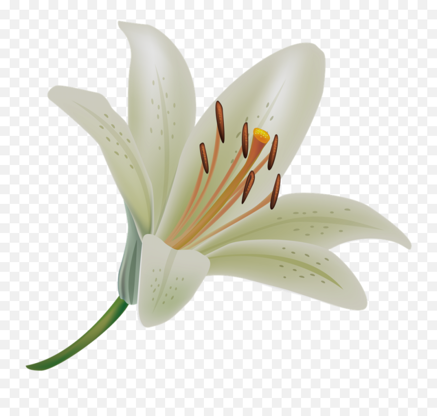 Lily Clipart Funeral Wreath - Funeral Flowers Wreath Png,Funeral Flowers Png