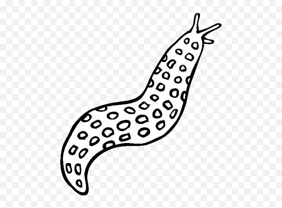 Slug Png - Easy Sea Slug Drawing,Slug Png