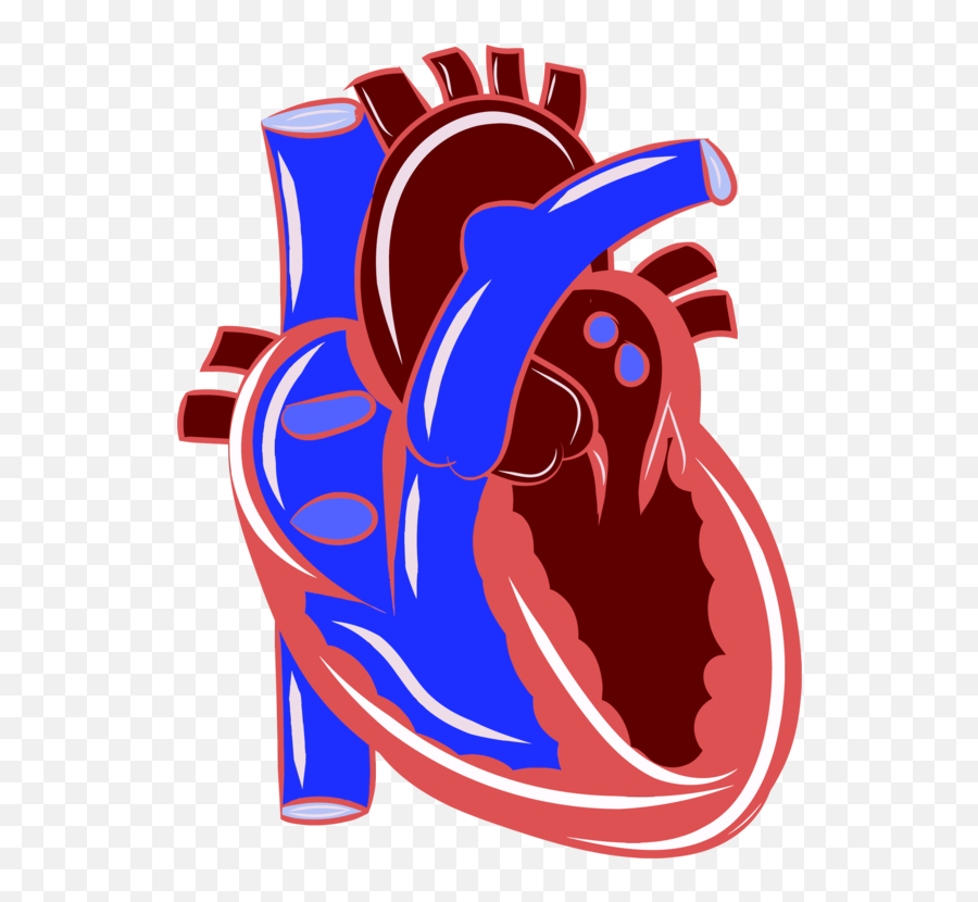 Organartworkelectric Blue Png Clipart - Royalty Free Svg Png Cardiovascular Clipart,Failure Png