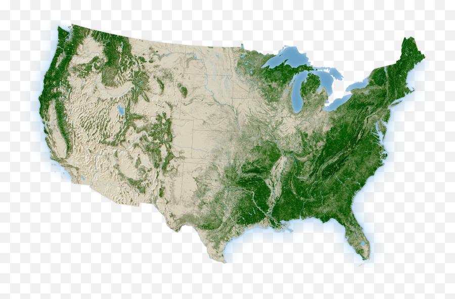 Forest Atlas - Usa Forest Cover Png,United States Map Png