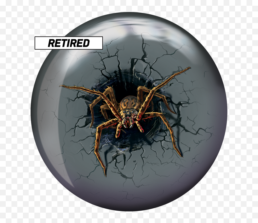 Spider Brunswick Bowling - Spider Ball Png,Transparent Spiders