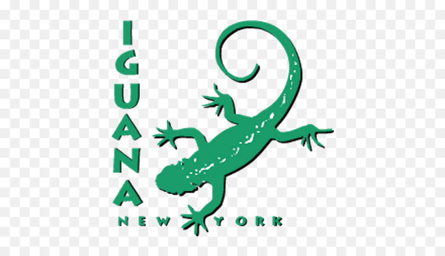On The Food Watch Iguanas Arnold Zwickyu0027s Blog - Iguana Nyc Logo Png,Iguana Transparent Background