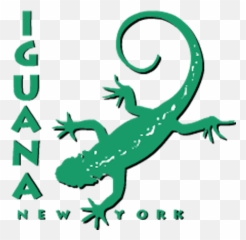On The Food Watch Iguanas Arnold Zwickyu0027s Blog - Iguana Nyc Logo png
