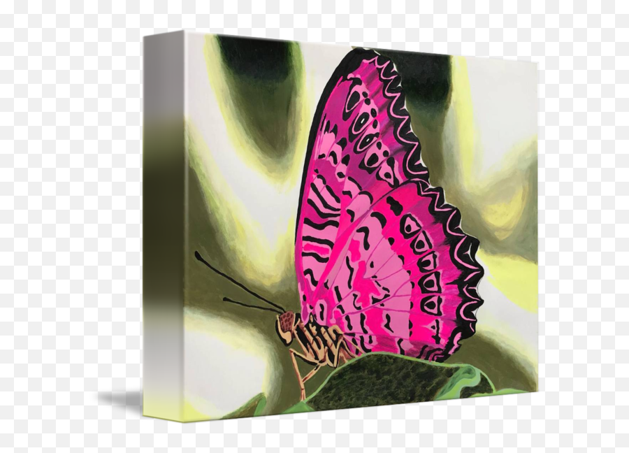 Glow Wings Pink Butterfly By Gord Russell - Butterflies Png,Pink Butterfly Png