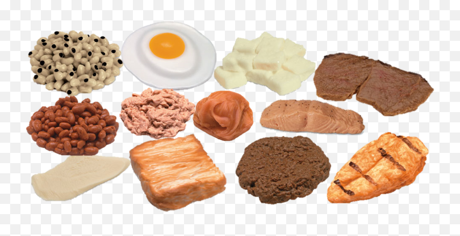 Protein Foods Model Kit - Protein Food Models Png,Meal Png