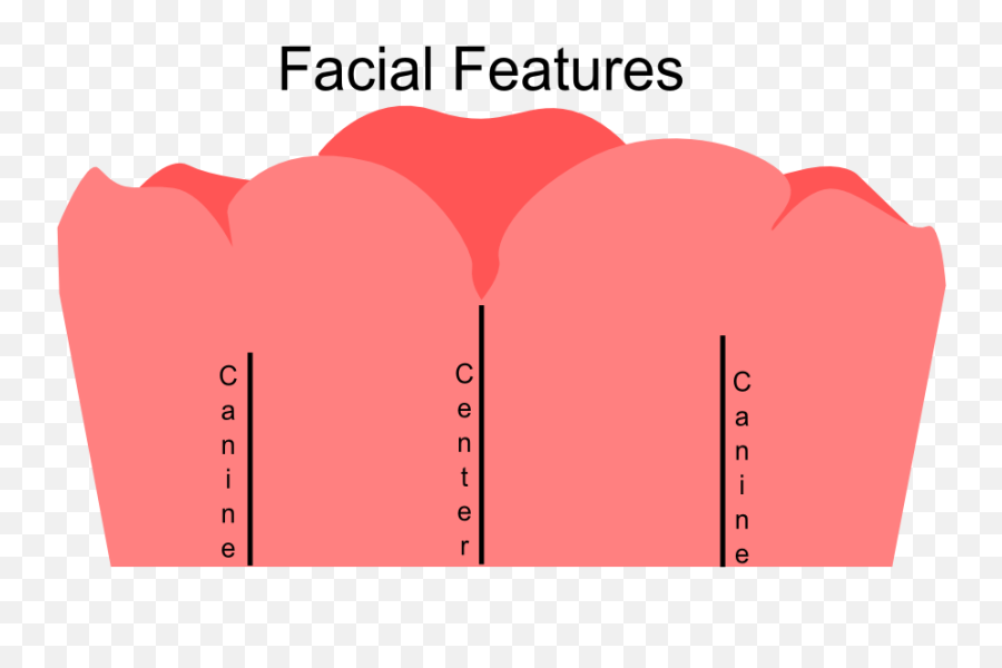 News Bremadent Dental Laboratory - Dental Laboratory In Png,Bite Mark Png