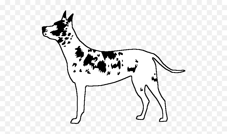 Fileicon Harlequin Doggif - Wikimedia Commons Ancient Dog Breeds Png,Transparent Dog Gif