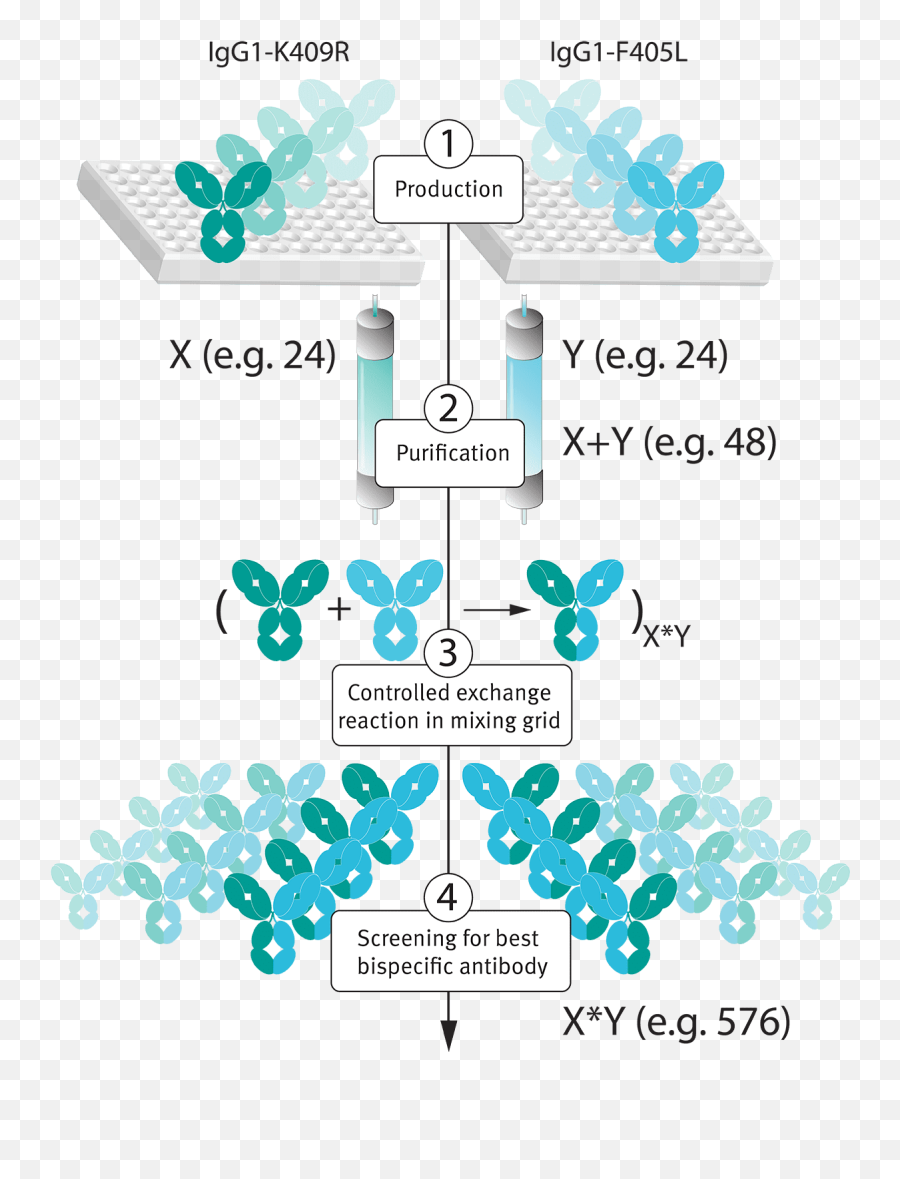 Next Generation Technology Platforms Genmab - Vertical Png,Antibody Png