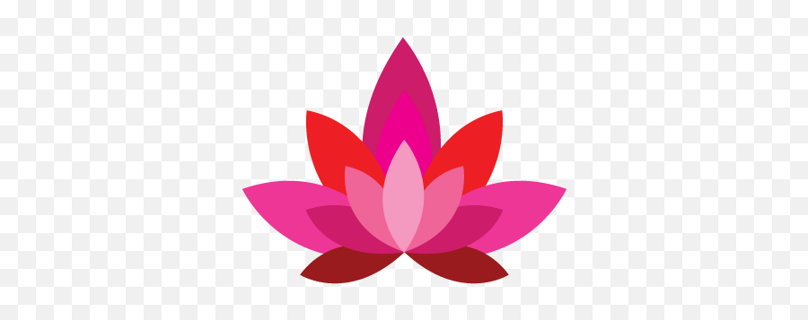 Dharma Acupuncture About - Nymphaea Nelumbo Png,Dharma Initiative Logo