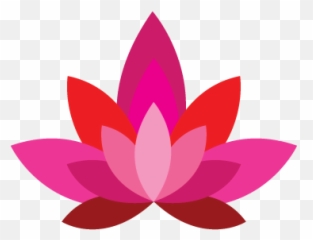 Dharma Acupuncture About - Nymphaea Nelumbo png