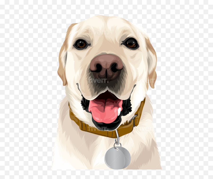 Draw High Quality Vector For Your Pet Or Any Animals - Martingale Png,Dog Icon Vector