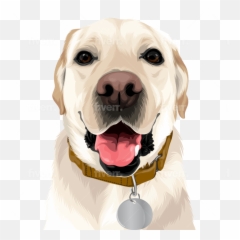 Draw High Quality Vector For Your Pet Any Animals - Martingale png
