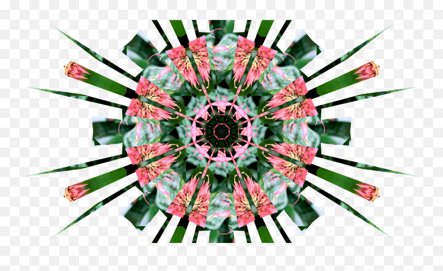 Kaleidoscope Painter Download Sourceforgenet - Dot Png,Kaleidoscope Icon