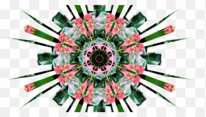 Kaleidoscope Painter Download Sourceforgenet - Dot Png,Kaleidoscope Icon