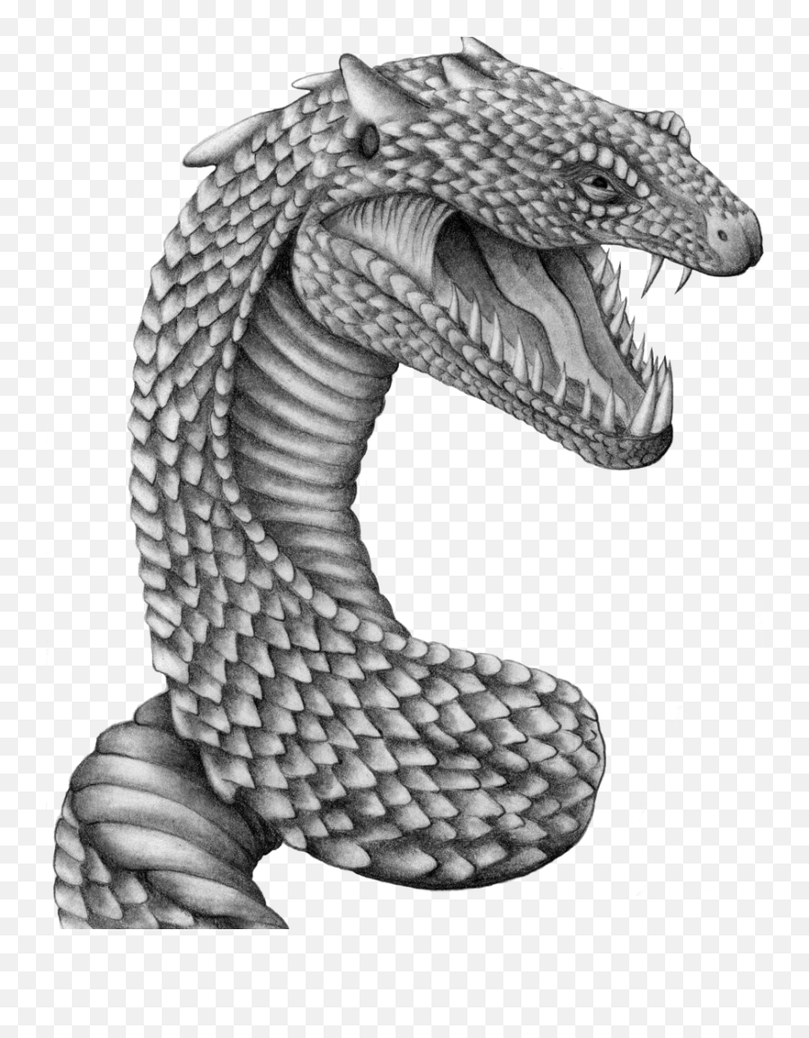 White Snake Png - Basilisk Snake Png Download Image Harry Magical Creatures Harry Potter Drawings,Newt Scamander Icon