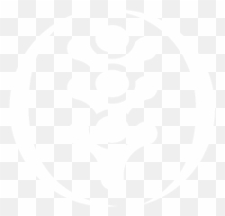 Home - Comprehensive Pain u0026 Neurology Center Your Experts Dot png