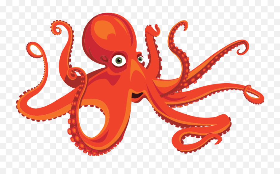 Branson Aquarium - Common Octopus Png,Icon Theater Branson