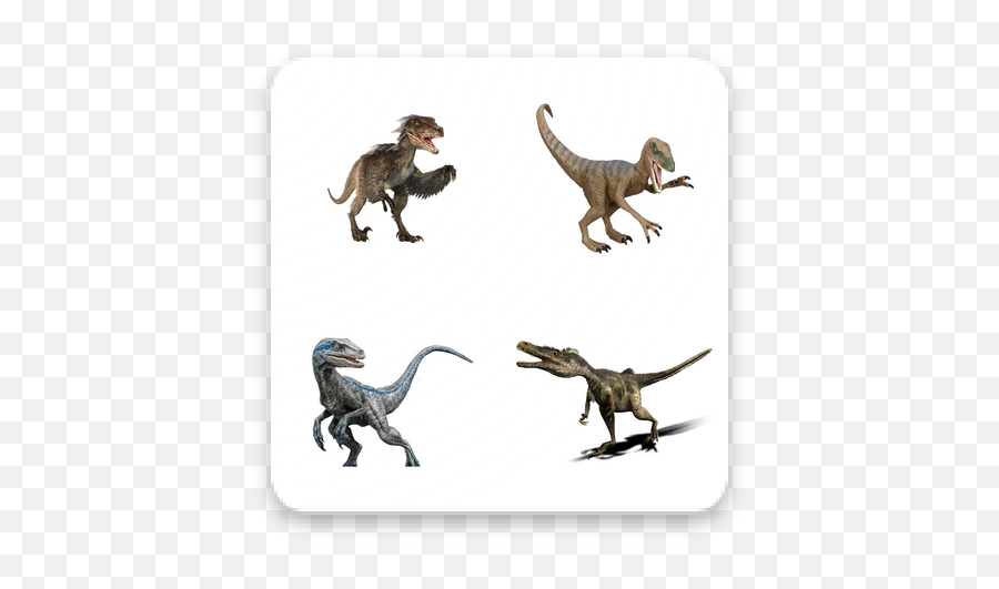 Download Velociraptor Whatsapp Stickers Apk Free - Tyrannosaurus Png,Velociraptor Icon