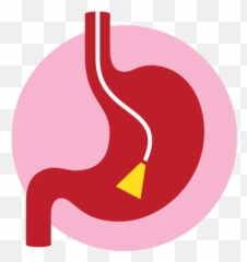 Pediatric Gastroenterology - Palm Beach Digestive Associates png