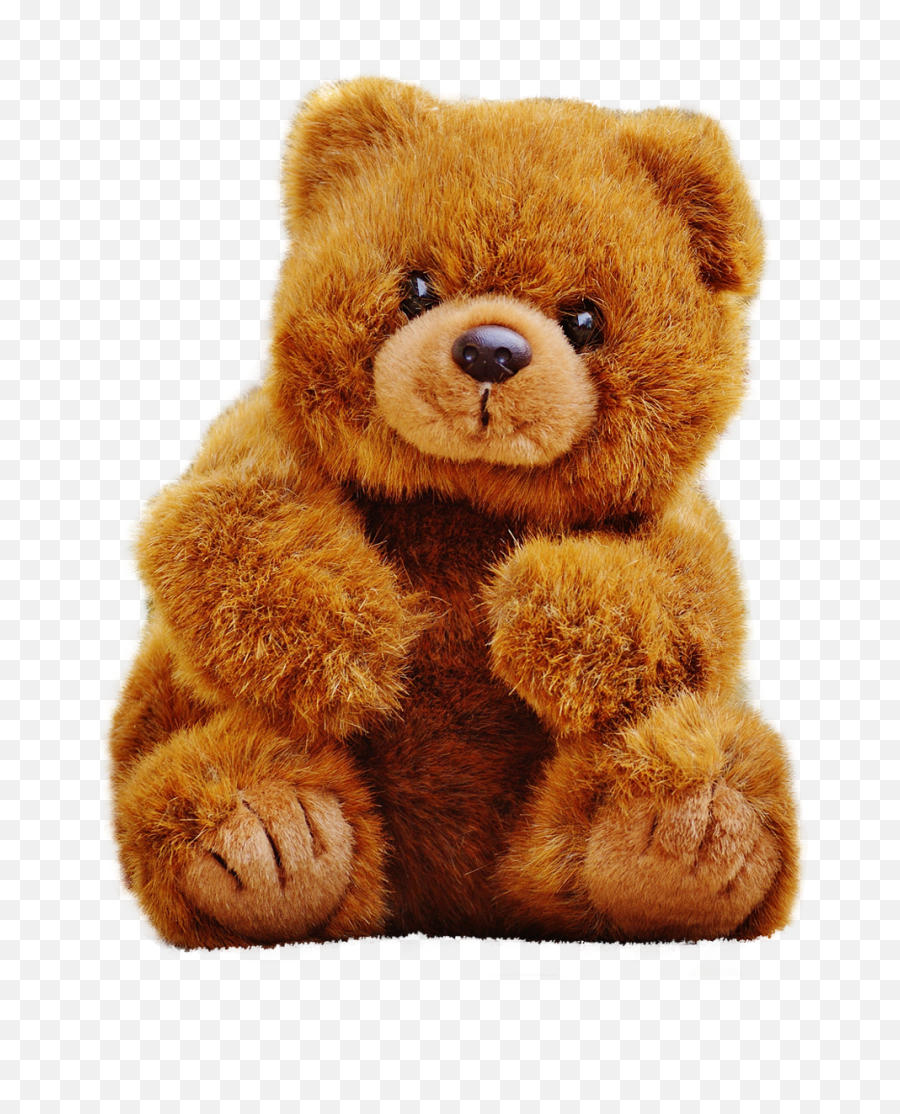 Teddy Bear Png Images Transparent - Teddy Bear Png Transparent,????? Png