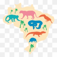 Brazil Map Illustration - Transparent Png U0026 Svg Vector File Brazil,Brazil Png