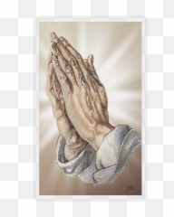 Praying Hands Ii - Praise The Lord png