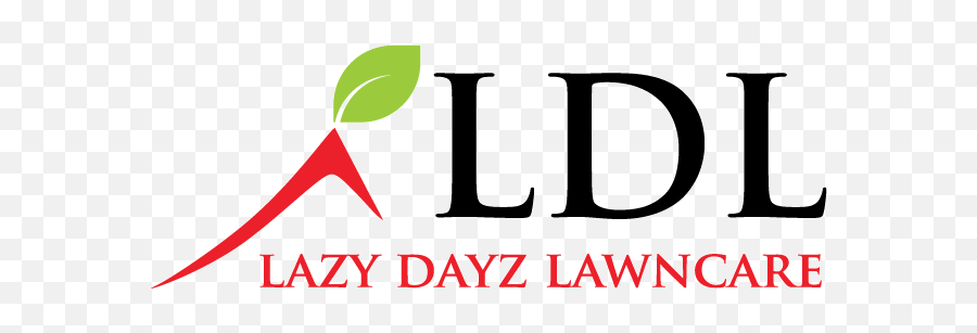 Playful Logo Design For Lazy Dayz - Cozy Bay Png,Dayz Logo