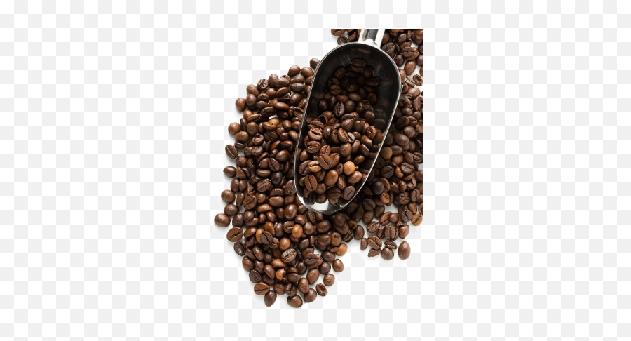 Coffee Beans Png Image - Roasted Coffee Beans Png,Coffee Beans Transparent Background