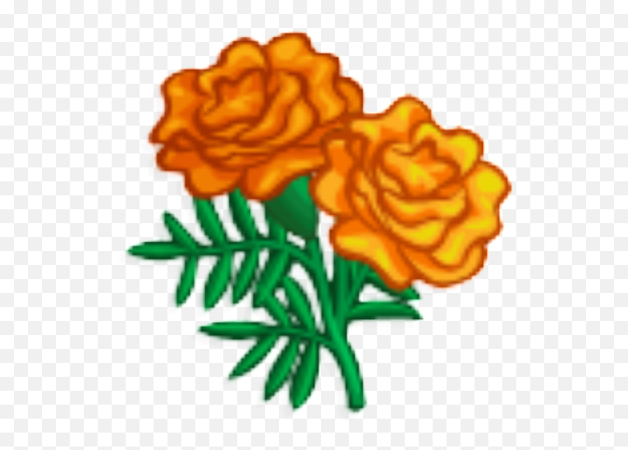 Marigold Clipart Png - Transparent Marigold Clipart,Marigold Png