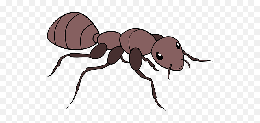 How To Draw An Ant - Really Easy Drawing Tutoria Ant Png Silhouette,Ant Transparent