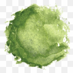 Things I Wish Knew During - Watercolor Tree Plan Png