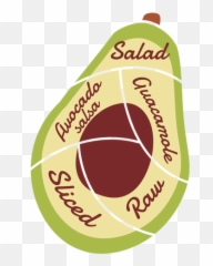Avocado Stone Salad Guacamole Raw Sliced Salsa Flat - Salud Visual Png,Salsa Png