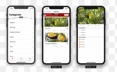 Flavr - iOS Recipe App Universal Template Smart Device png