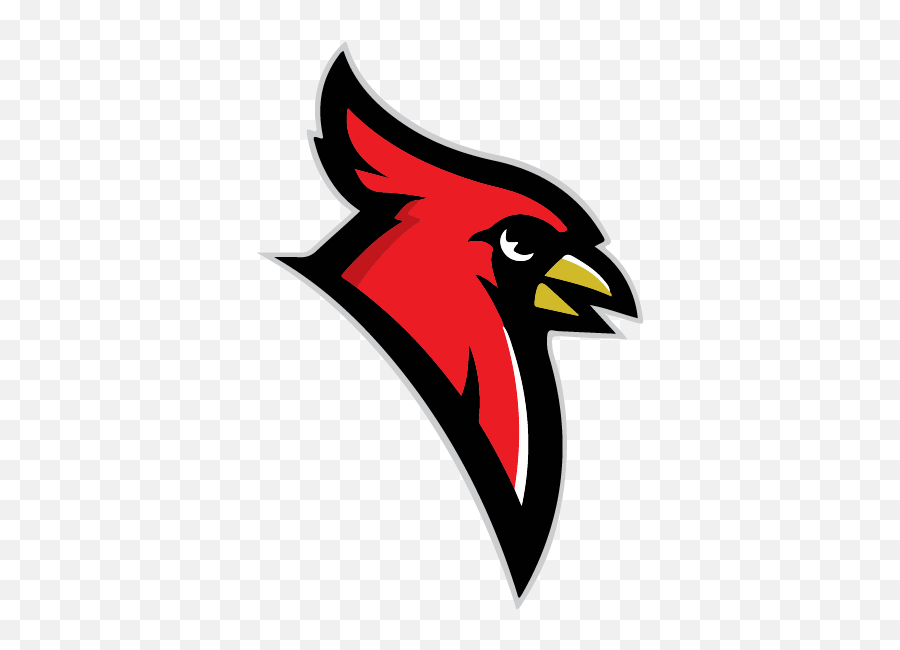 Dryden Community Schools - Wallingford Cardinals Softball Png,Cardinals Logo Png