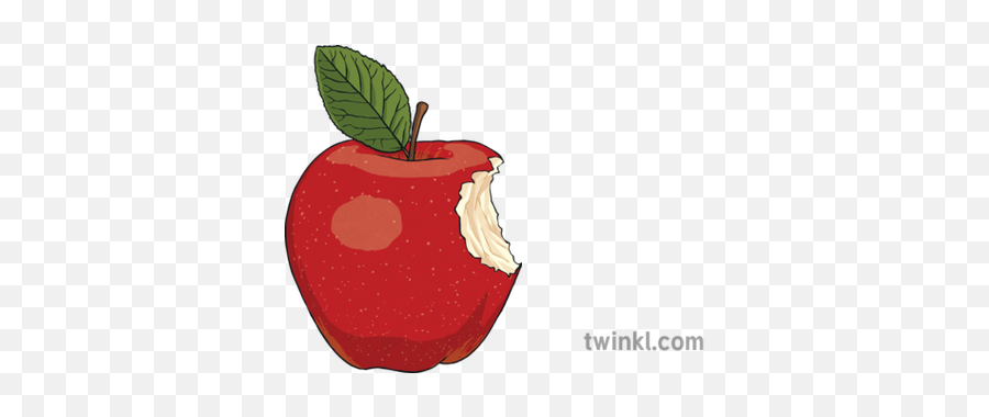 Apple With Bite Mark Illustration - Mcintosh Png,Bite Mark Png