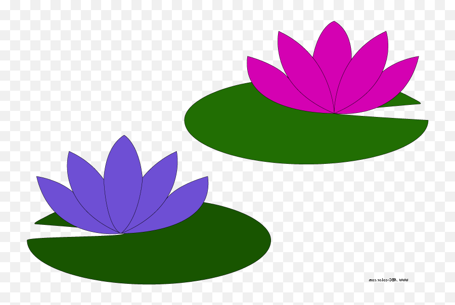 Lily Pad Flower Clipart - Water Lily Lily Pad Clip Art Png,Lily Pad Png