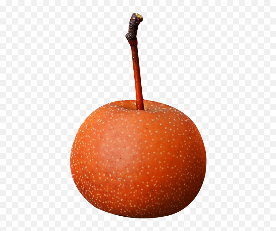 Asian Pear Fruit With Stem Png Image - Pngpix Fruit Stem,Stem Png