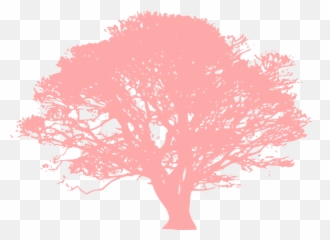 Sakura Tree - Silhouette Oak Png